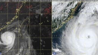 小犬「消風」前後對比曝　網笑：被教化了