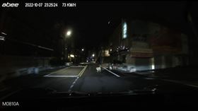 新北市，新北動保處，開罰，愛犬，牽繩