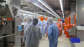 高市府：標示不實美豬未流入高雄桃園市有2家業者以美豬混製肉片，產地卻標示不實，高雄市衛生局6日表示，經查該違規標示產品未流向高雄市業者。（高雄市衛生局提供）中央社記者蔡孟妤傳真  112年10月6日