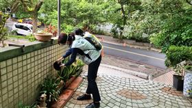 新北市接獲疑似登革熱病例通報後，團隊即進行相關緊急防治作為。（圖／新北市衛生局提供）