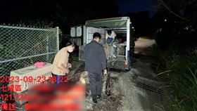 棄養,基隆,貓犬,新竹縣（圖／新竹縣政府提供）