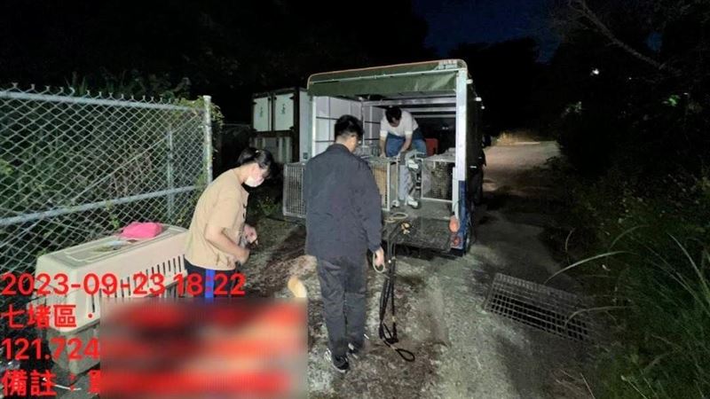 助棄養28貓犬謝國樑究責　新竹縣府說話了