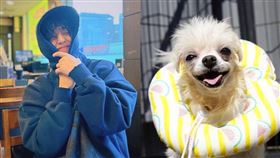 ▲SEVENTEEN隊長S.COUPS（崔勝哲）。（圖／翻攝自IG）