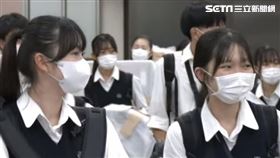 「翡翠騎士」抵台。