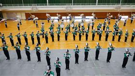 翡翠(翻攝畫面)