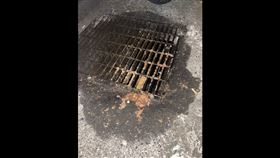 超派炸雞　廢油