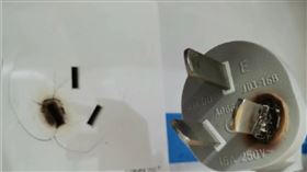 熱水器,插頭,燒焦(圖/翻攝微博)