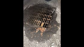 超派炸雞　廢油