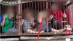 幼兒押關狗籠非「以阿戰爭」影片來自這國(圖/翻攝TIKTOK)