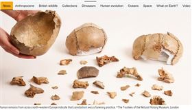 研究證實歐洲舊石器時代有食人現象。（圖／翻攝英國自然史博物館官網）