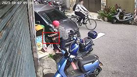 狗,糯米腸,暴斃,急性胃扭轉,新莊,新北