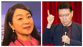 周玉蔻（左）與趙少康打官司中。（圖／翻攝自臉書、趙少康自媒體辦公室提供））