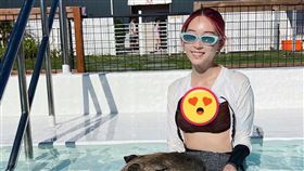 翁馨儀（圖／翻攝自翁馨儀臉書）