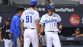 ▲林哲瑄代打出界外球後傷退，疑似是鉤狀骨傷勢，本季例行賽報銷。（圖／富邦悍將提供）