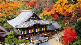 明日香村－岡寺。（圖／品牌業者提供）