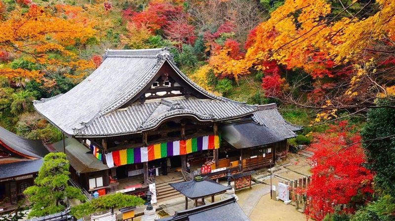 不只訂房！AsiaYo科技旅遊平台攻多元市場