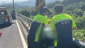 台3線,摩托車,電線桿,自撞（圖／翻攝畫面）