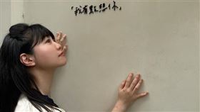 高嘉瑜恐難以延續國會議員生命？（圖／翻攝自高嘉瑜臉書）