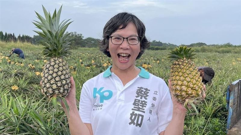 錯寫陳定南糗爆！他嘆這事、蔡壁如回應了