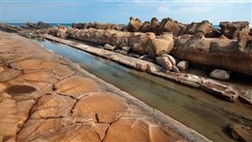 小野柳,富岡地質公園。（圖／翻攝自觀光署網頁）