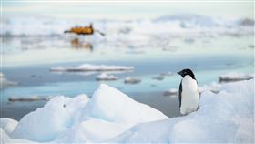 南極旅遊。（圖／雄獅旅遊）