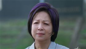 楊貴媚,喜翔,吳慷仁,鄭元暢,林哲熹,有生之年。（TVBS提供