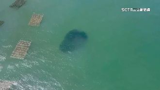 安平漁港現神秘游動球體　網友：變形潛艦