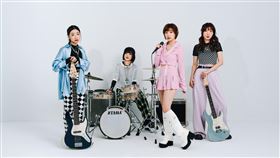 全女子搖滾樂團DIZLIKE推出新專輯《本能馴化社Animal Lovers》。（圖／DIZLIKE 提供）