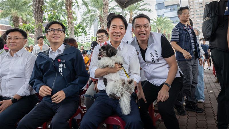 賴清德出席毛孩嘉年華　與可愛貓犬同樂