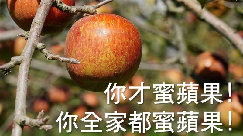 沒有「蜜蘋果」這品種　專家揭好吃真相