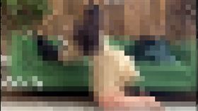  雲林,斗南消防分隊,外流,管理員