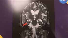 1017記者黃仲丘攝影