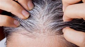白髮