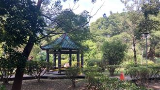 街友在公園被砍斷2指　樹林警逮1男偵辦中