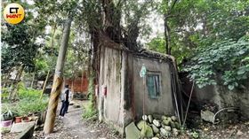 身障一家人2／老屋面臨「樹木吞屋」斷電危機　里長：望各界伸援手助急難（名家－CTWANT）
