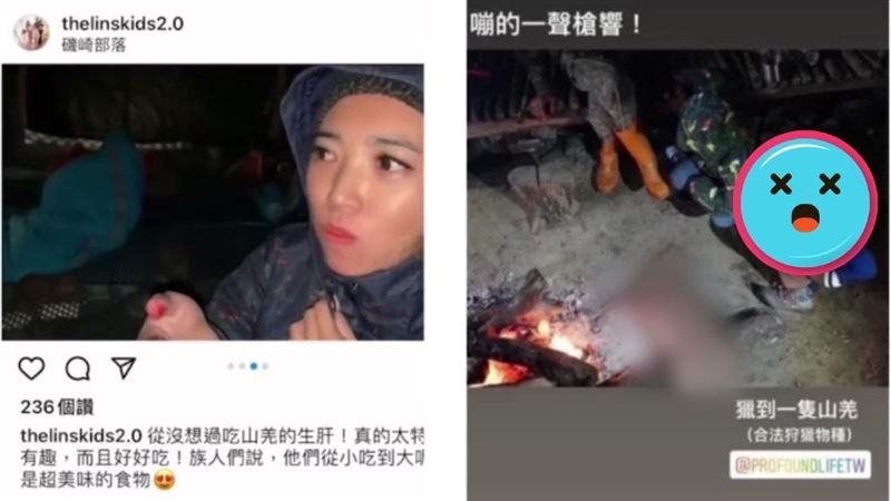 生吃山羌肝還要孩吃　林叨7寶媽下場出爐