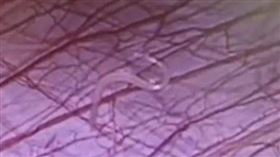 （圖／翻攝自微博）