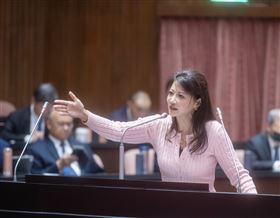 林楚茵說，好油事件國民黨不是跟風翻車，國民黨就是網軍產地。（圖／翻攝自林楚茵臉書）