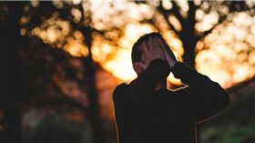 離婚,蜜月,日本,偷吃,小王,十指緊扣,對簿,公堂