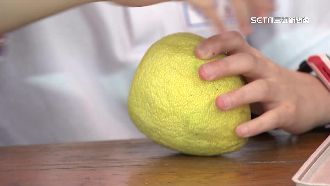 國小營養午餐給整顆文旦挨批　校方回應了