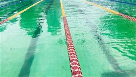 桃園市立泳池水質報告出爐 余信憲批體育局罔顧人命