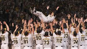 ▲阪神虎睽違9年重返日本大賽。（圖／美聯社／達志影像）