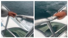 宜蘭,國軍,演習,賞鯨船,砲彈