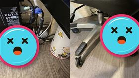 抓蛇,蛇皮,辦公室,櫃台(翻攝自 爆料公社官網)