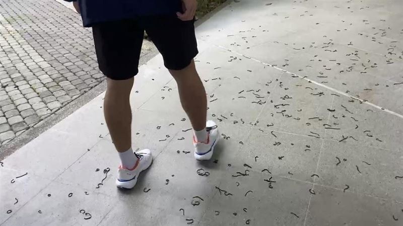 又要地震？台東大學「滿地蠕動」沒路走！