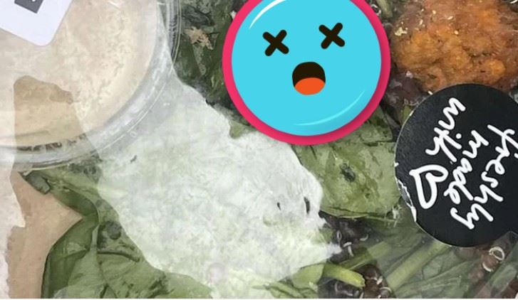 盒裝沙拉驚見完整鼠屍　2女狂嘔畫面曝光
