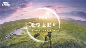 《地球脈動III》耗時5年多(共1904天)拍攝。（圖／BBC EARTH提供）
