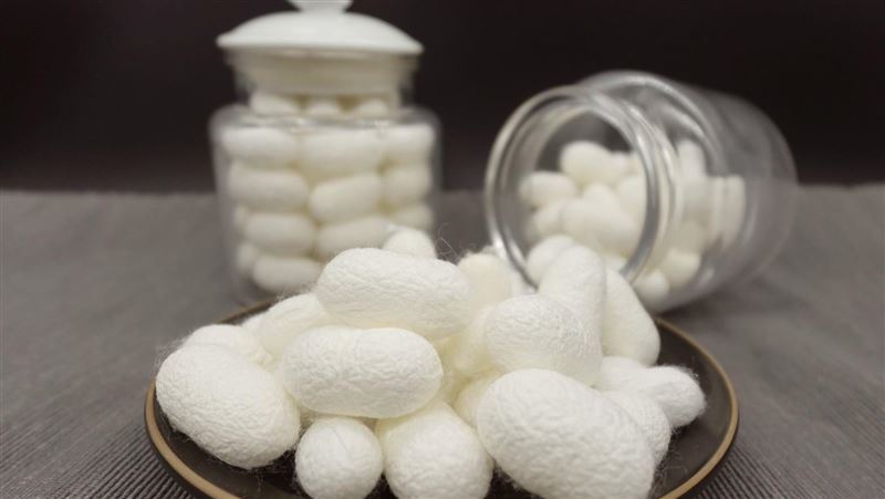 「蠶繭」竟可減緩冬季癢　農業部教你DIY