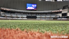 ▲台北大巨蛋內野草皮。（圖／記者劉彥池攝影）
