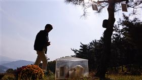 梨泰院（圖／路透社／達志影像）